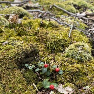 Hudson Valley Hiking