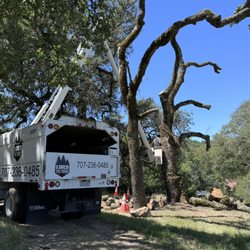 G Garcia Tree Service