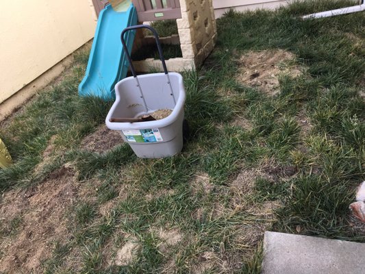 Photo of Nguyen's-Giup Gardening Services - San Bruno, CA, US. I have a small yard, but my main problem is gophers.  I would like a lawn play area.  Please give me an estimate.  Thank you