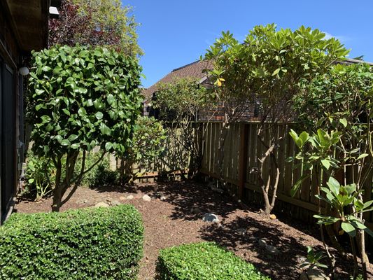 Photo of Nguyen's-Giup Gardening Services - San Bruno, CA, US. a view of the back yard