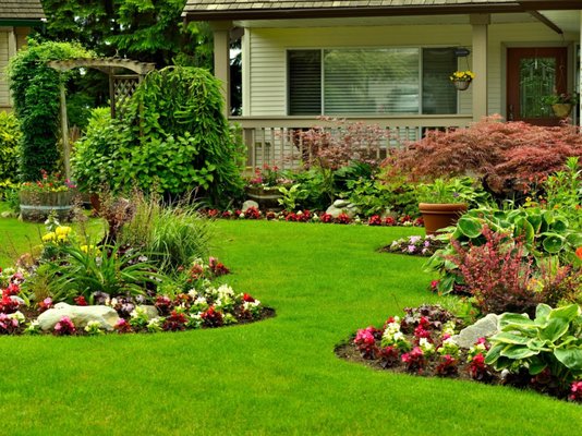 Photo of Willow Glen Gardening - San Jose, CA, US. the front yard of a home