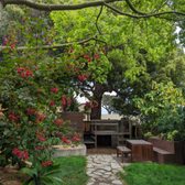 Water saving eco-friendly lawn installation-- with native grass.