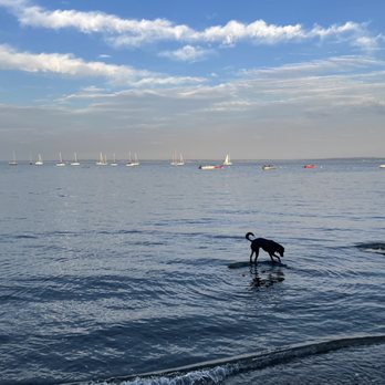 Larchmont Doggie Beach