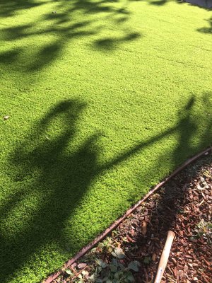 Photo of Yardwork Landscaping - Mill Valley, CA, US. Another angle of the finished product.