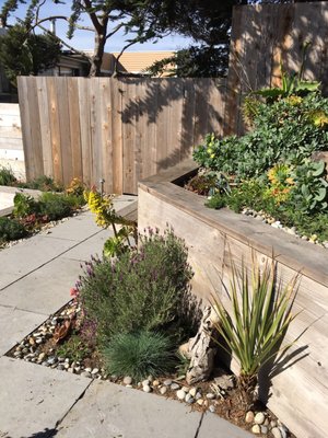 Photo of Tamate Landscaping - San Francisco, CA, US. On middle level looking to the side.