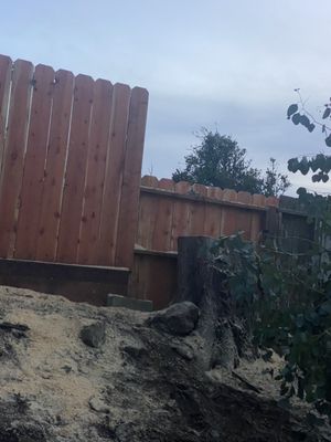 Photo of Bravo's Landscaping Services - Hayward, CA, US. After when's done