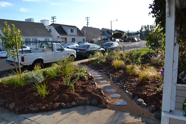 Photo of Gentle Giant's Gardening and Landscaping Services - San Francisco, CA, US.