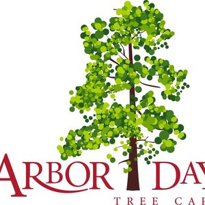 Arbor Day Tree Care on Yelp