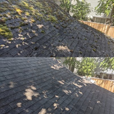 Photo of Rise & Shine Home Services - Vancouver, BC, CA. Don't let moss take over your roof.