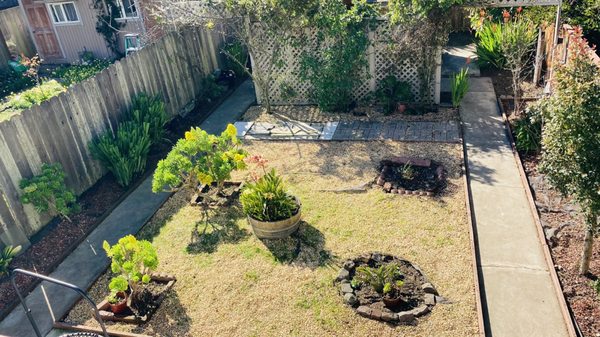 Photo of Discount Clean-Up Gardening - San Francisco, CA, US. Forgot to take a "before" photo but it was a crazy jungle full of weeds