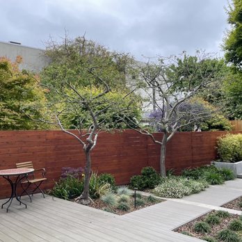 Crabapple Trees post trim in Noe Valley.