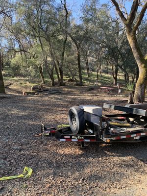 Photo of Precision Tree Care - Pacifica, CA, US. Area where they cut a few trees.