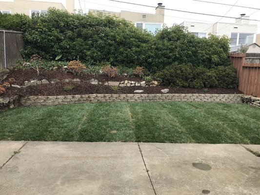 Photo of Blooms Gardening - San Francisco, CA, US. A recent sod install with the back 2 flower beds planted with mulch.