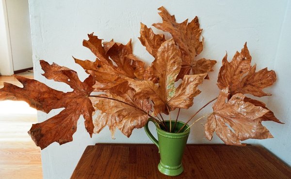 Photo of Pagano's Hardware Towne Centre - Alameda, CA, US. My leaf sculpture, which used clear spray paint, epoxy glue, and clay vase, all from PAGANO'S.