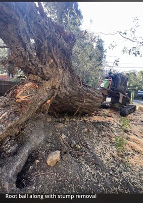 Photo of Cal-Line Tree Care - San Mateo - San Mateo, CA, US.