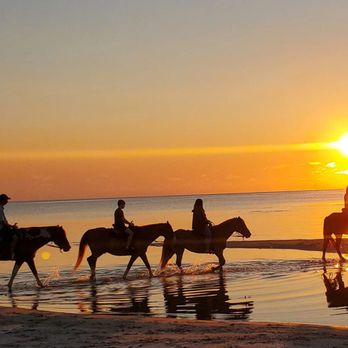 Ocean View Stables