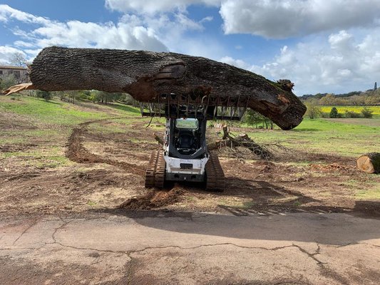 Photo of Urban Tree Care - Vallejo, CA, US. More logs