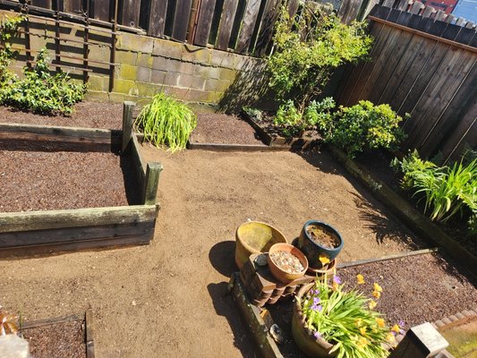 Photo of SF Gardening Services - San Francisco, CA, US. The After