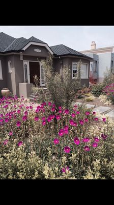 Photo of Forevergreen Landscape - San Francisco, CA, US. Mediterranean front yard in West Portal Addition.