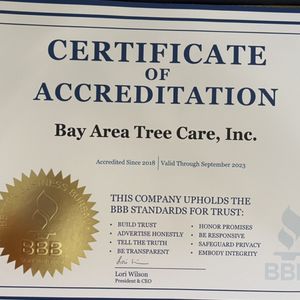 Bay Area Tree Care on Yelp