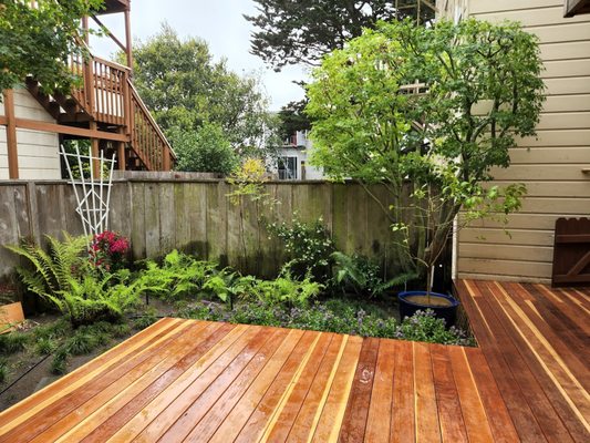 Photo of SF Gardening Services - San Francisco, CA, US. a wooden deck in a backyard