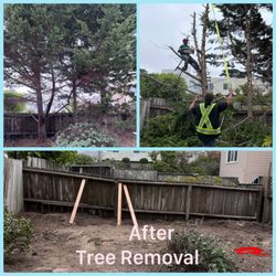 Good Deal Clean-Up & Tree Services