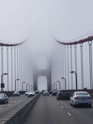 Photo of Blue Shuttle Airporter - San Francisco, CA, US. Foggy Golden!