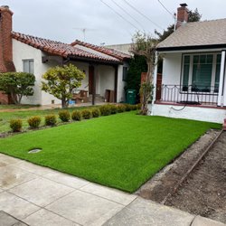 Bay Area Turf