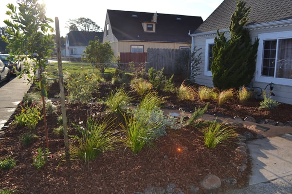 Photo of Gentle Giant's Gardening and Landscaping Services - San Francisco, CA, US.