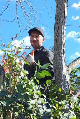 Photo of Arborist Now - San Francisco, CA, US.