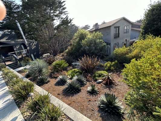 Photo of Earthtones - Pacifica, CA, US. Montara drought tolerant landscaping