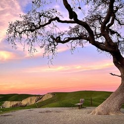 Del Valle Regional Park