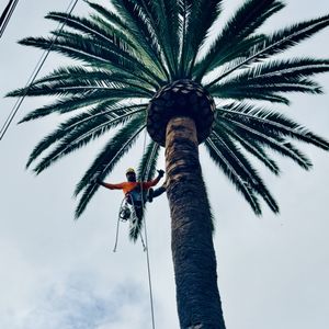 JMV Tree Service on Yelp