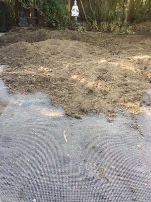 Photo of Yardwork Landscaping - Mill Valley, CA, US. Installing gopher wire before new sod