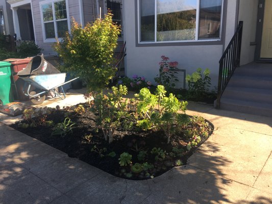 Photo of Haul U Need Yard Services - Berkeley, CA, US. A finished product