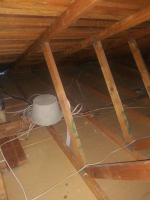 Photo of Crawlspace Clean - Danville, CA, US. Attic after insulation removal