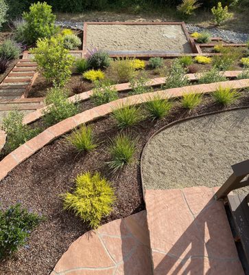 Photo of Forevergreen Landscape - San Francisco, CA, US. a view of a garden