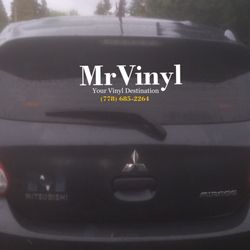 Mr.Vinyl