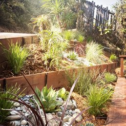 Photo of Forevergreen Landscape - San Francisco, CA, United States. Agave and grasses