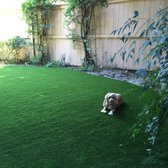 Dog relaxing on pet turf