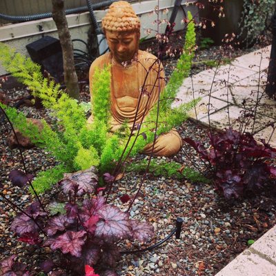 Photo of Hoes and Ditches - Oakland, CA, US. A Zen garden featuring the complimentary colors of Foxtail fern 'Myersii' and Heuchera 'Coral bells'. Diamond Heights, San Francisco.