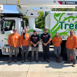 TreeMax Tree Service