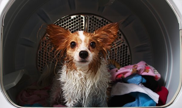 Photo of Dryer Emergency - Campbell, CA, US.