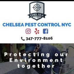 Chelsea Pest Control