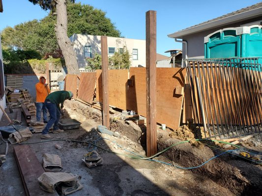 Photo of Madriz Tree service - Richmond, CA, US.