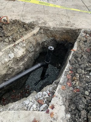 Photo of Drain Rooter Service - San Jose, CA, US. Property line clean-out!