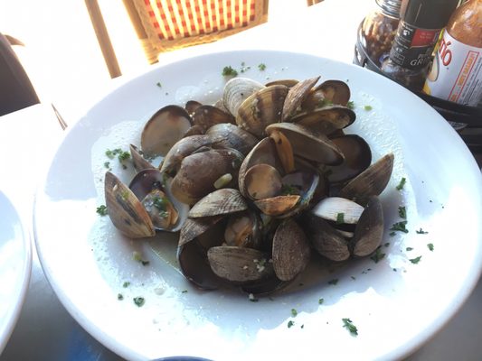 Photo of Sotto Mare - San Francisco, CA, US. Steamed clams and mussels is really fresh. And the portion is big!