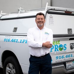 Pest Pros Pest Solutions