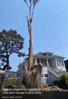 Photo of Cal-Line Tree Care - San Mateo - San Mateo, CA, US.