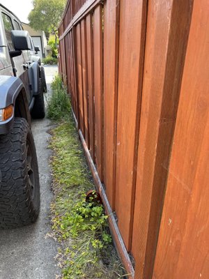 Photo of Willow Glen Gardening - San Jose, CA, US. Before